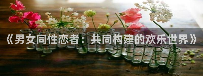 变形金刚78动漫网