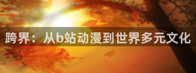 78动漫模型玩具网