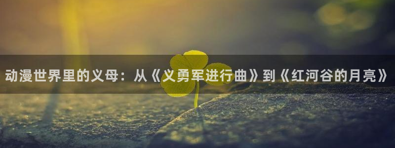 78动漫网站