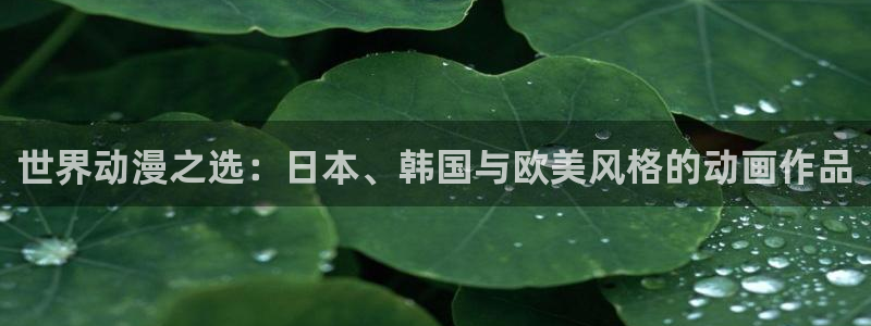 78动漫18